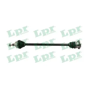 DS60919 LPR