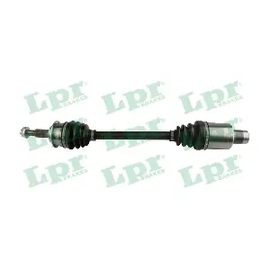 24598 LPR