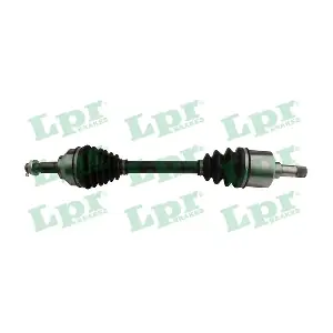 LPR DS60199