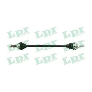 DS52489 LPR