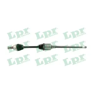 DS60989 LPR