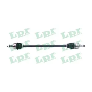 DS52513 LPR