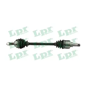 DS60181 LPR