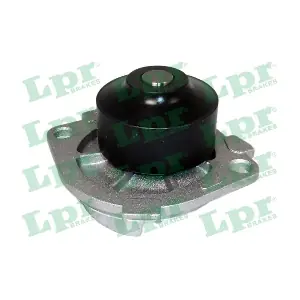 LPR WP0431