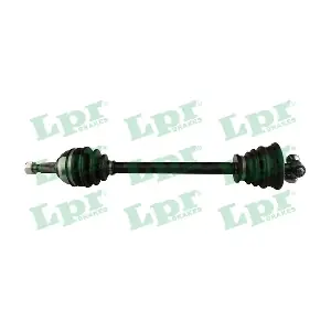 DS52446 LPR