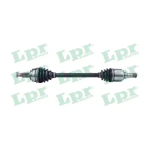 DS52450 LPR