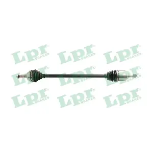 DS43004 LPR