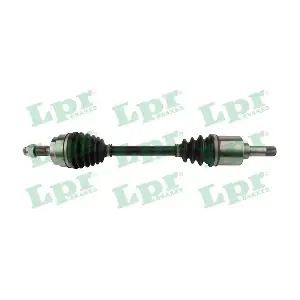 DS60557 LPR