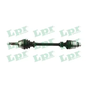 DS39051 LPR