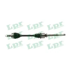 DS60590 LPR