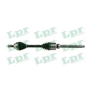 DS16151 LPR