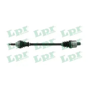 DS60293 LPR
