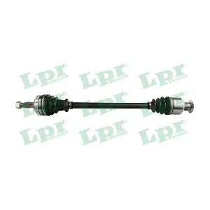DS52252 LPR