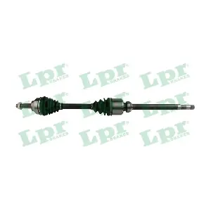 DS60193 LPR
