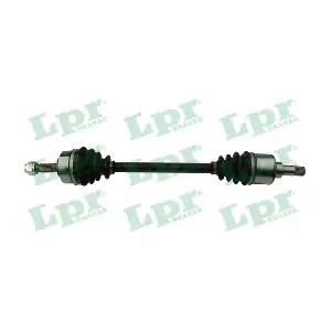 DS52339 LPR