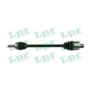 DS52447 LPR