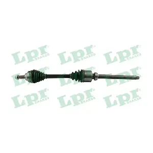 DS60201 LPR