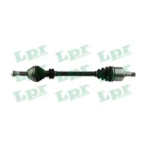 LPR DS20095