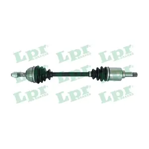 DS60217 LPR