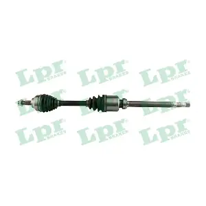 DS60186 LPR