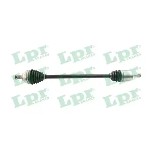 DS60985 LPR