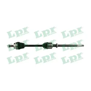 DS52428 LPR