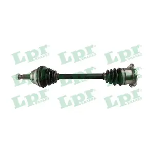DS51110 LPR