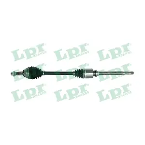 DS20096 LPR