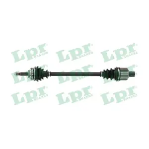 DS60716 LPR
