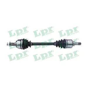 DS60539 LPR