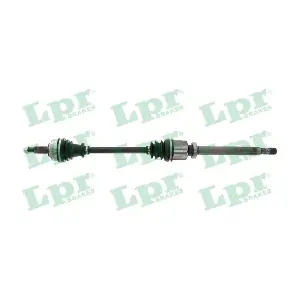 LPR DS60987