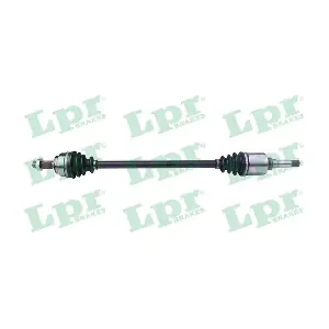 DS52343 LPR