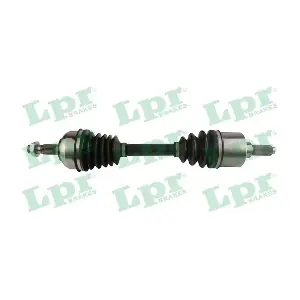 DS60167 LPR