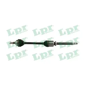 DS52743 LPR