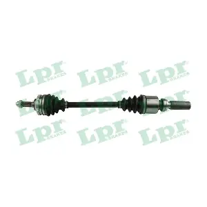 DS52317 LPR