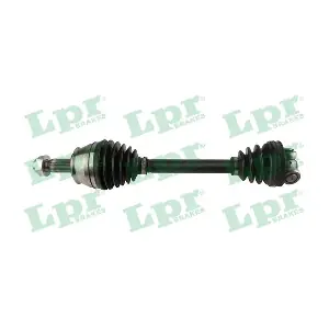 DS60317 LPR