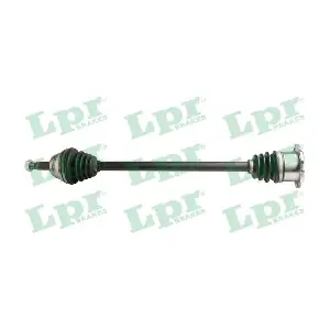 DS51111 LPR