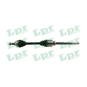 DS16145 LPR