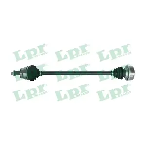 DS51125 LPR