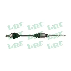 DS60197 LPR