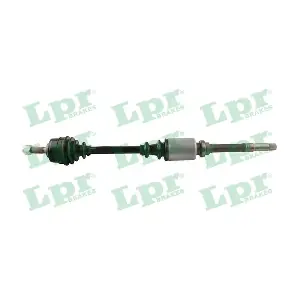 DS16180 LPR