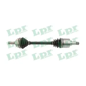 DS43003 LPR