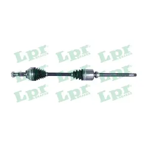 LPR DS20100