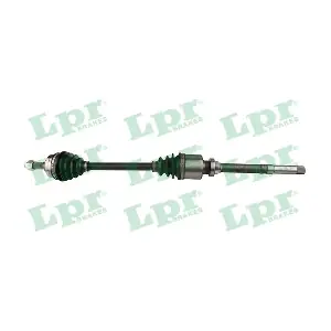 DS16205 LPR