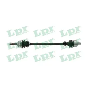 DS60971 LPR