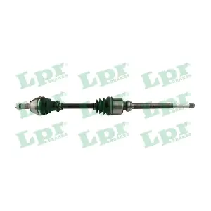 DS38028 LPR