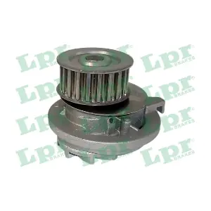 LPR WP0698