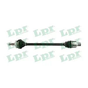 DS39255 LPR