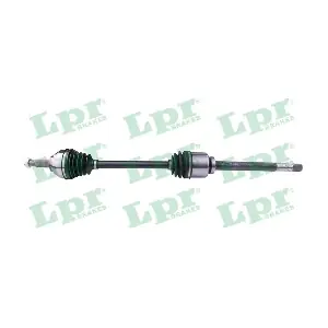 DS52434 LPR