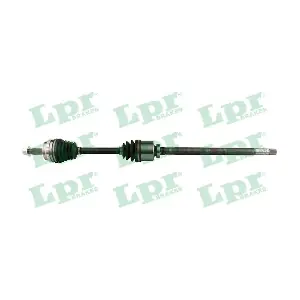 DS52246 LPR